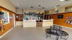 Suite Paws Pet Resort Franchise